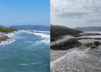 Educational chart showing four Earths with surrounding tidal rings, aligned with four moon phases and the Sun's gravitational pull during new moon, first quarter, full moon, and last quarter