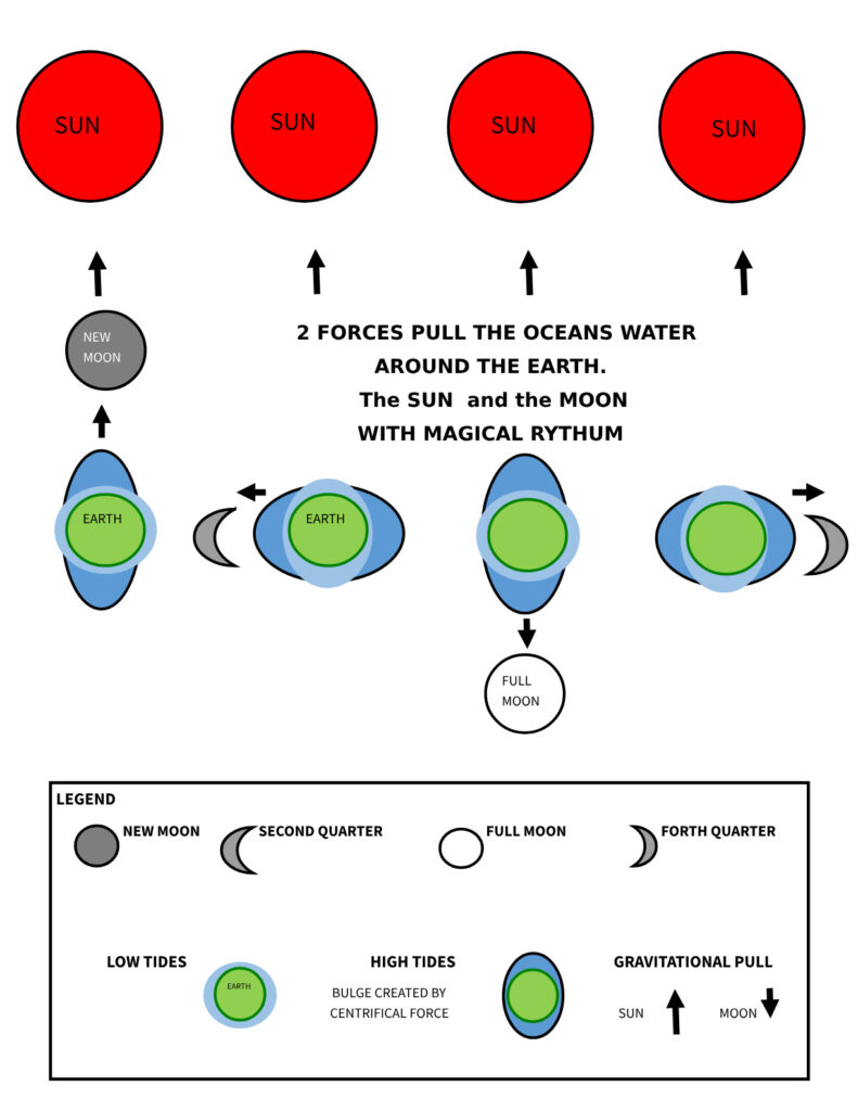 Infographic explaining how the Moon’s gravitational pull affects ocean tides, with visual details on tidal bulges and their impact on surfing in Santa Teresa.