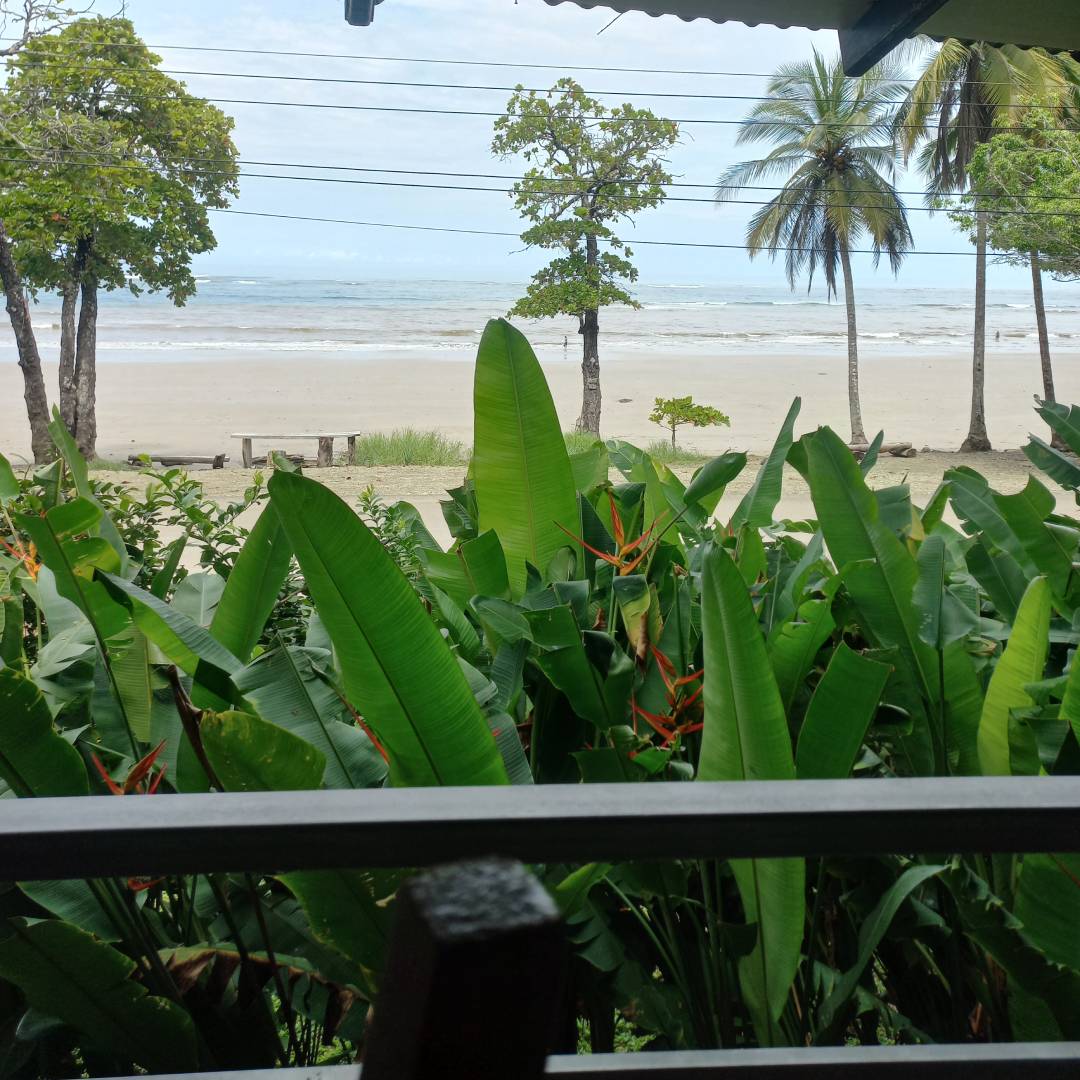 Atardeder-Dorado-restaurant-Playa-Manzanillo