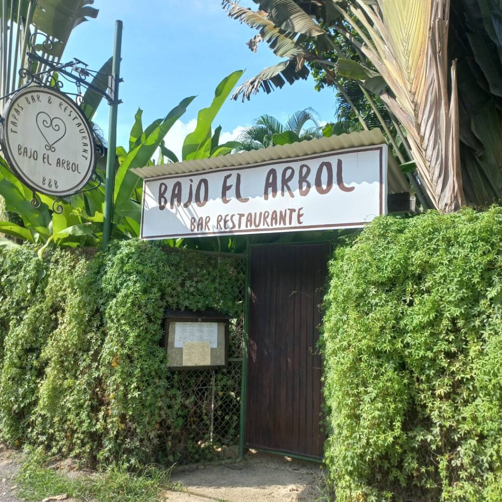 Bajo-el-Arbol-bar-restuarante-Playa-Carmen-Santa-Teresa