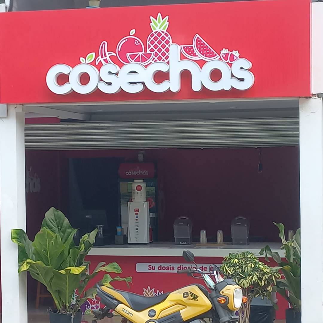 cosechas smoothies-santa-teresa