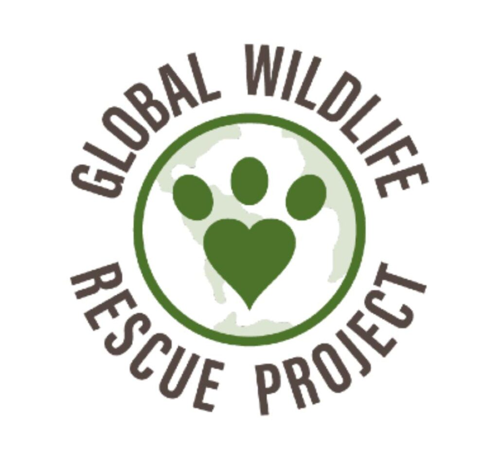ASVO-Global-Wildlife-Rescue-Project-Montezuma-Santa-Teresa