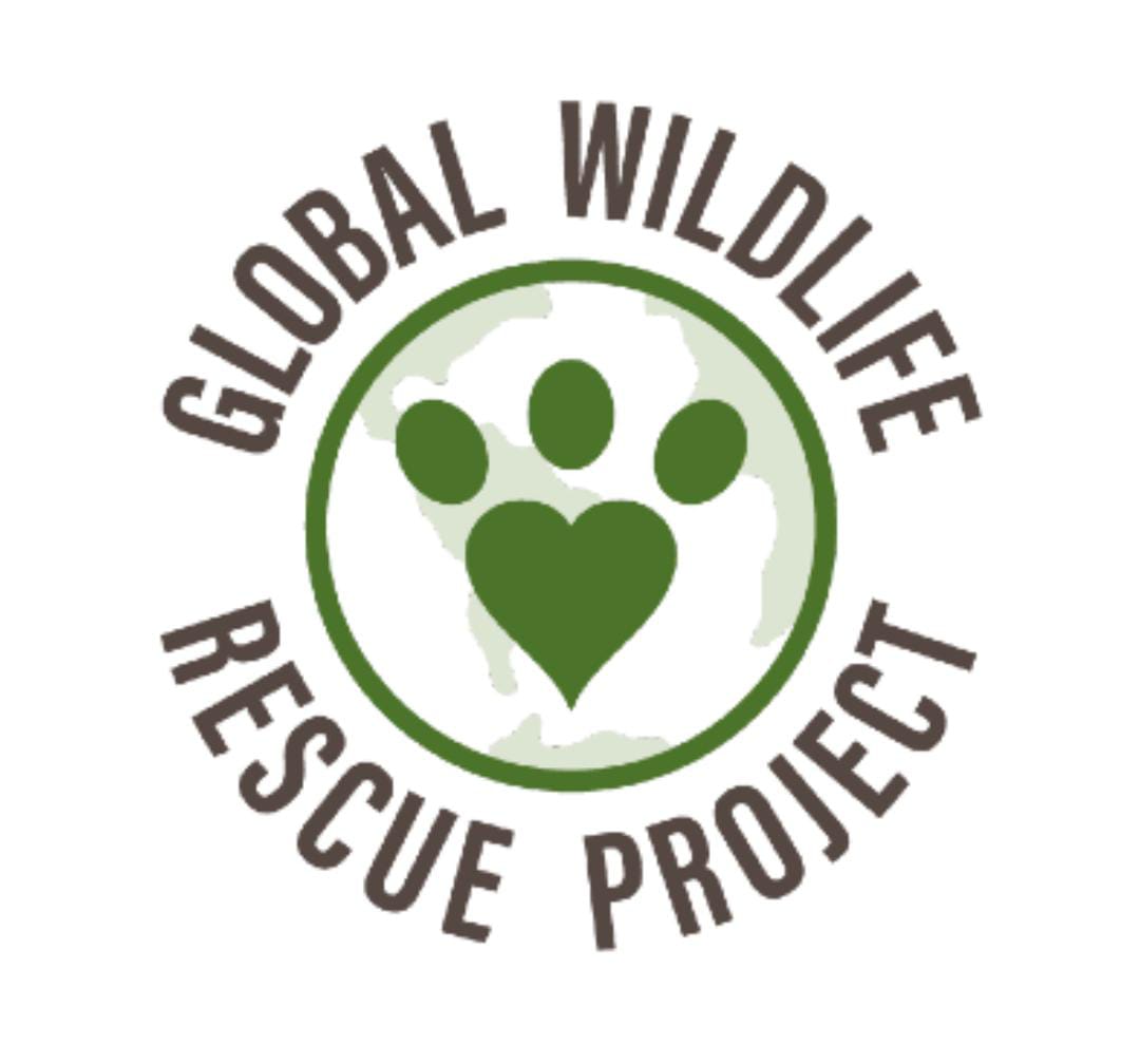 ASVO-Global-Wildlife-Rescue-Project-Montezuma-Santa-Teresa