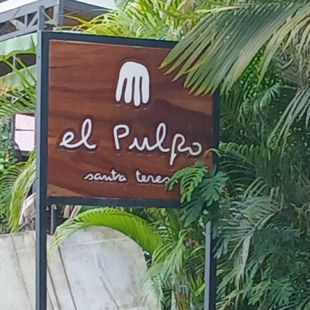 El-Pulpo-Pizza-Santa-Teresa