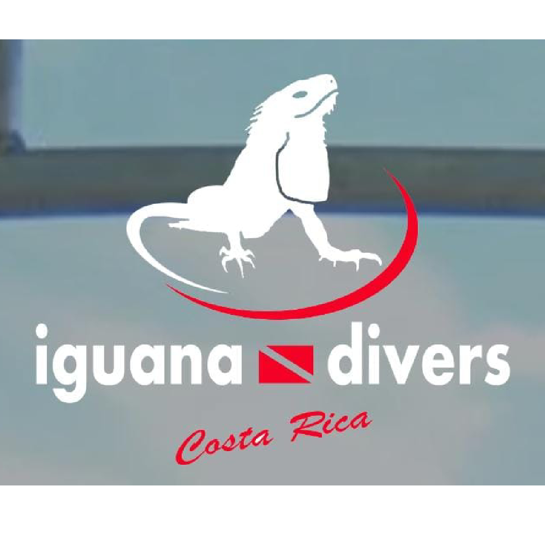 Iguana-Divers-Santa-Teresa