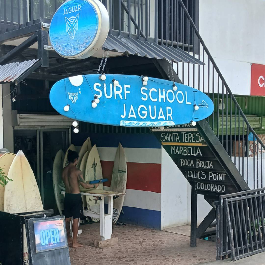 Jaguar-Surf-Shop-Santa-Teresa