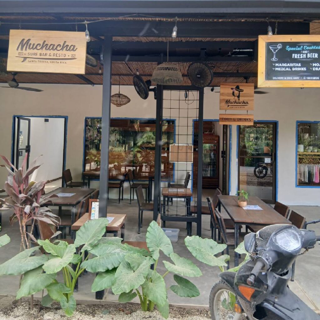 Muchacha-cafe-Santa-Teresa