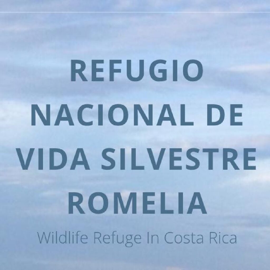 Refugio-Nacional-de-Vida-Silvestre-Romelia-Rescue-Montezuma-Santa-Teresa