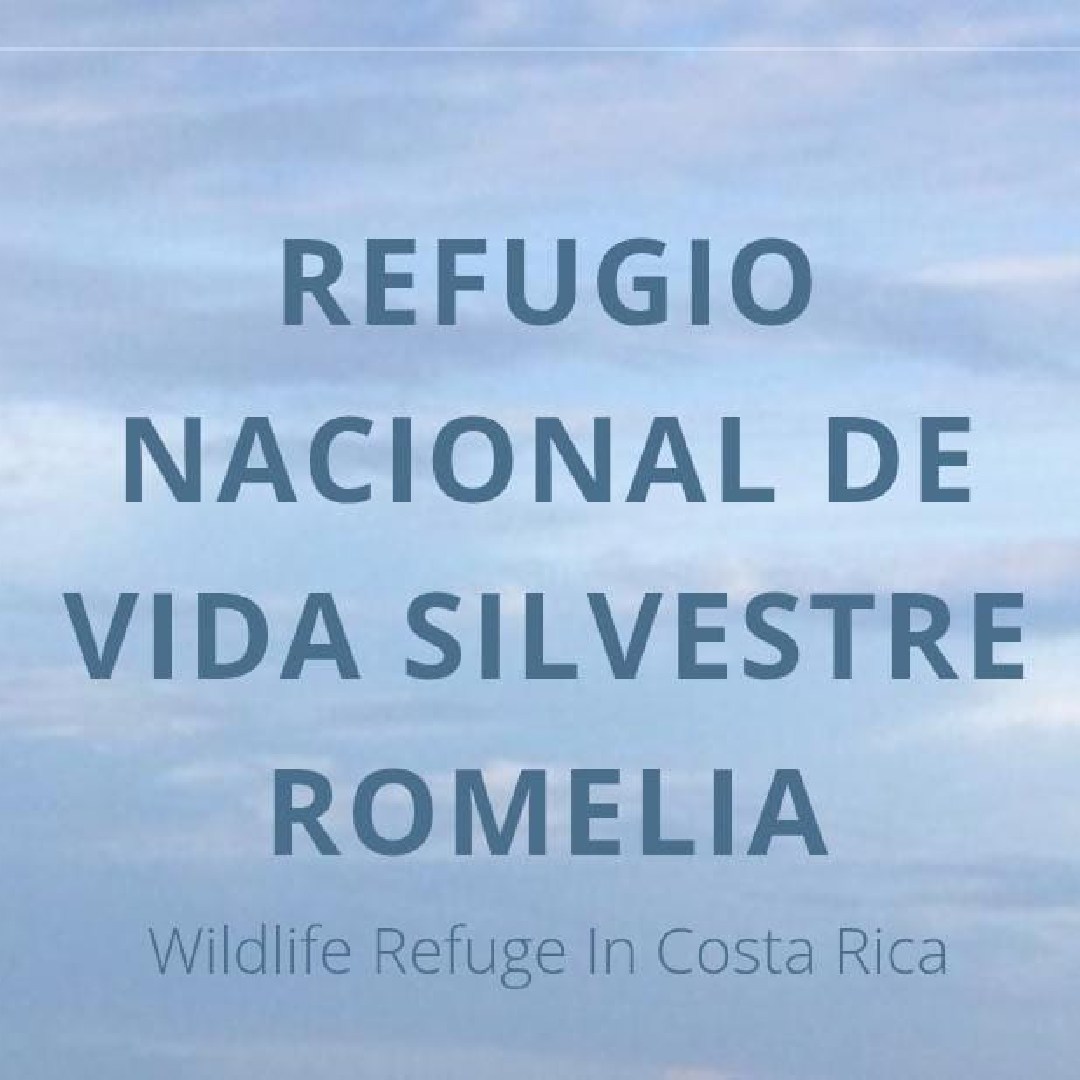 Refugio-Nacional-de-Vida-Silvestre-Romelia-Rescue-Montezuma-Santa-Teresa