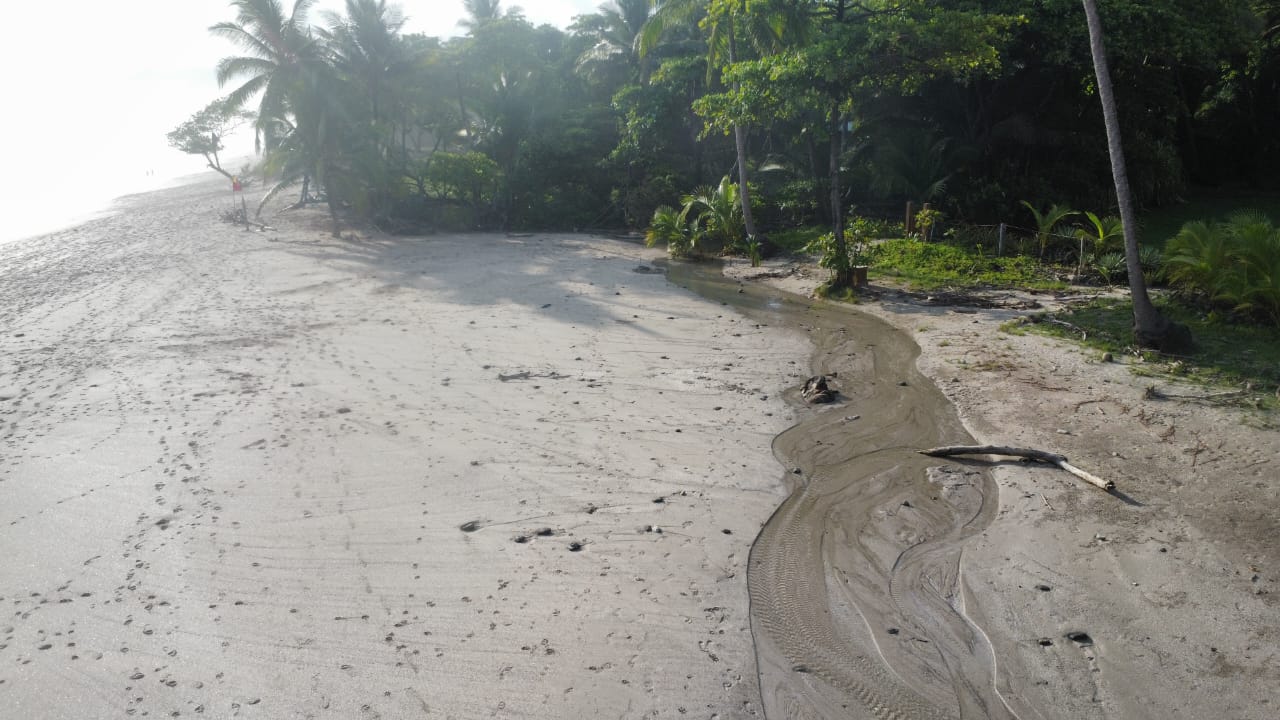 A dry riverbed with cracked mud and surrounding trees.