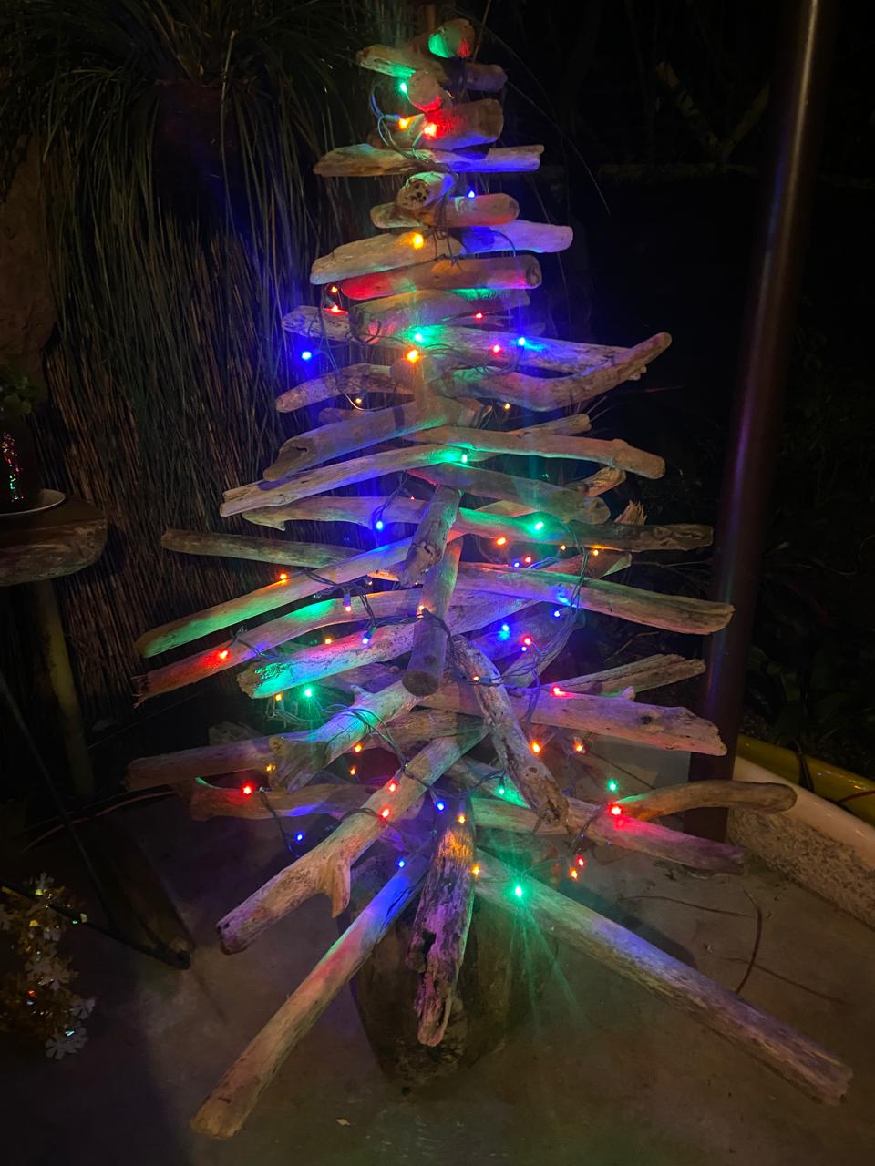 Sunset over a beach framed by palm trees.