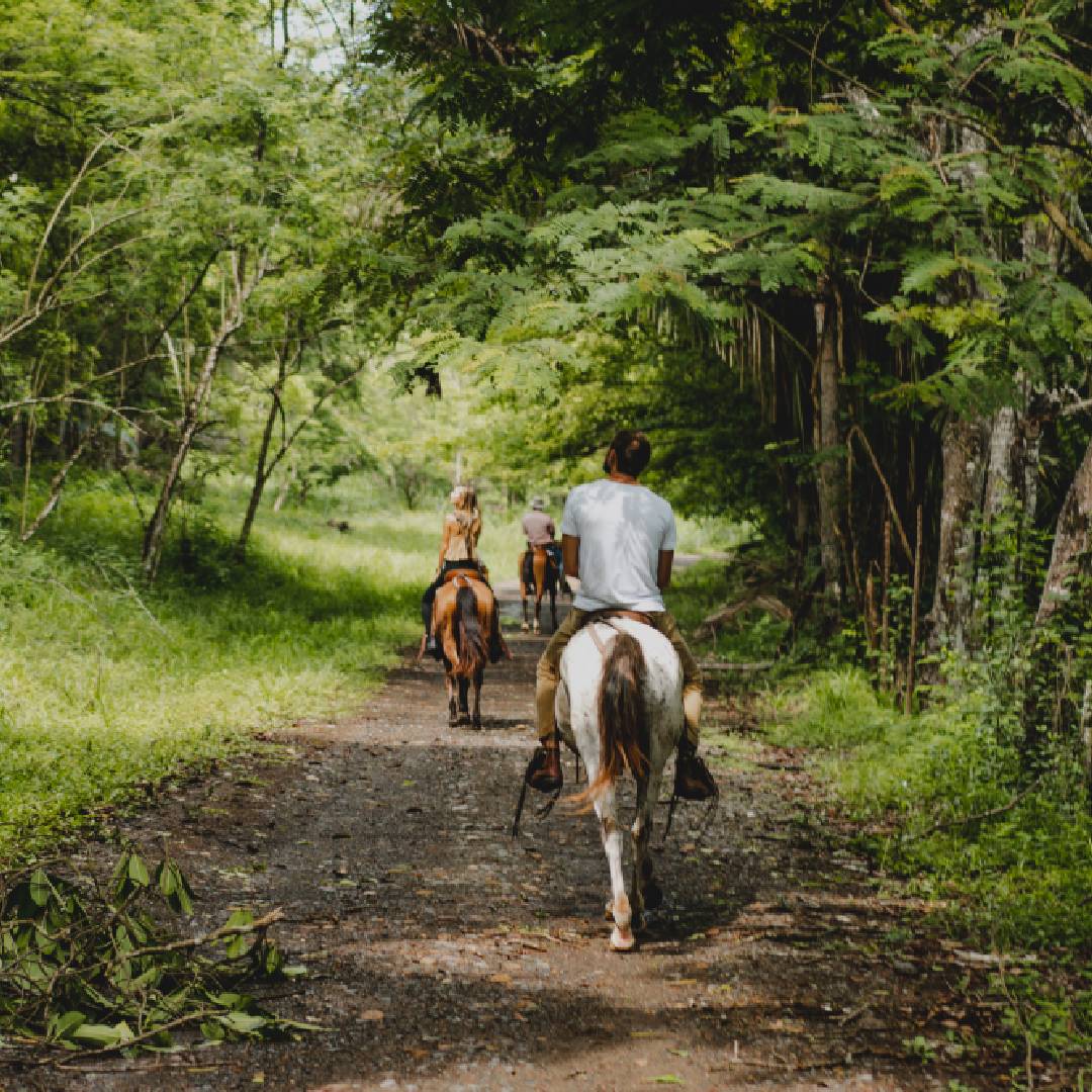Horseback riding in Santa Teresa