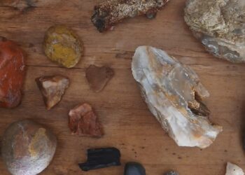 Field Notes from the Edge