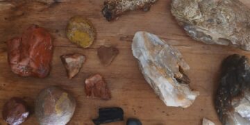 Field Notes from the Edge