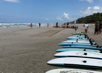 Meet Alex: The Eyes & Ears of Santa Teresa Dirt Road’s TikTok News