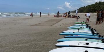 Meet Alex: The Eyes & Ears of Santa Teresa Dirt Road’s TikTok News