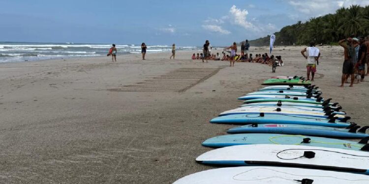 Meet Alex: The Eyes & Ears of Santa Teresa Dirt Road’s TikTok News