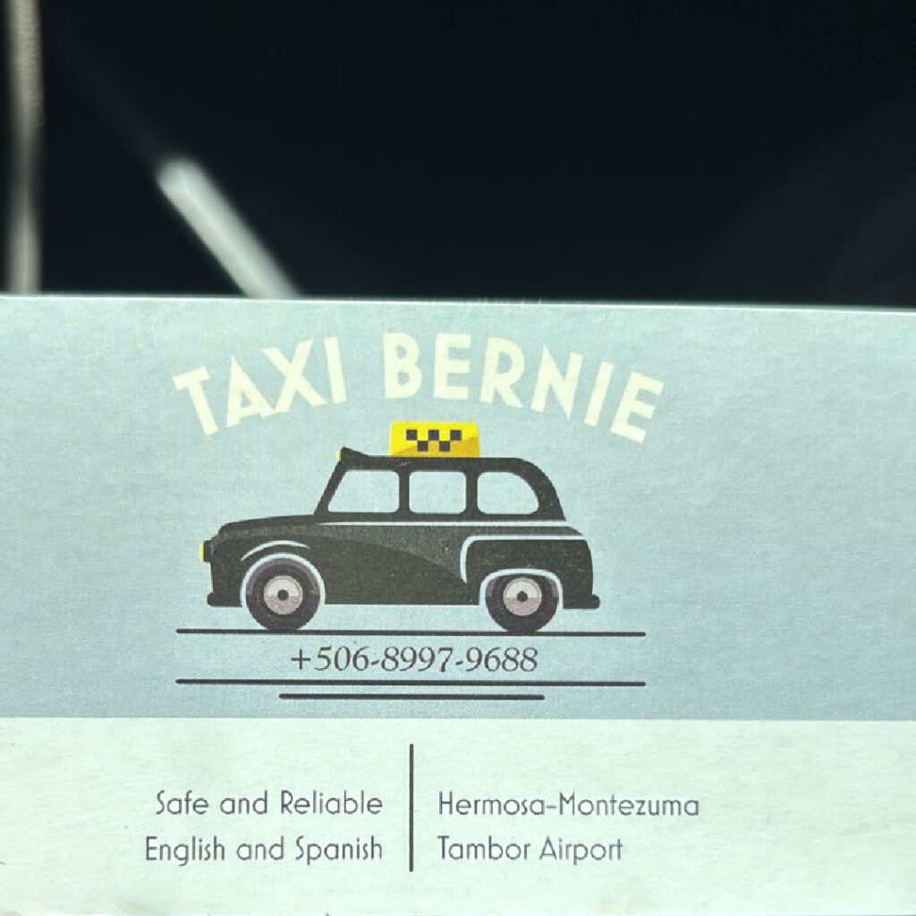 Taxi Bernie logo with classic taxi illustration and contact details.