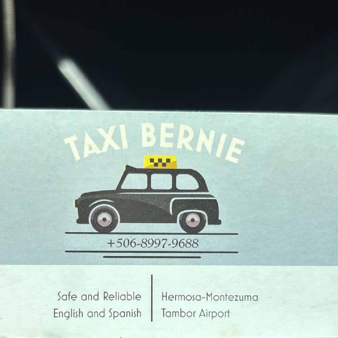Taxi Bernie logo with classic taxi illustration and contact details.