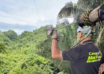 Zipline in Malpais Costa Rica