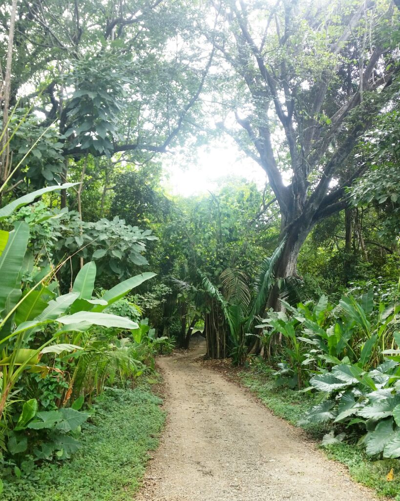isolated beach path at night Santa Teresa Costa Rica safety tip