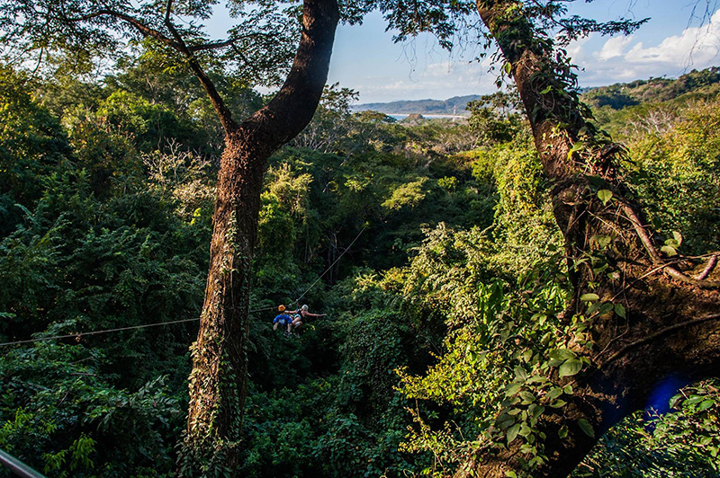 Jungle canopy view from zipline platform in Costa Rica