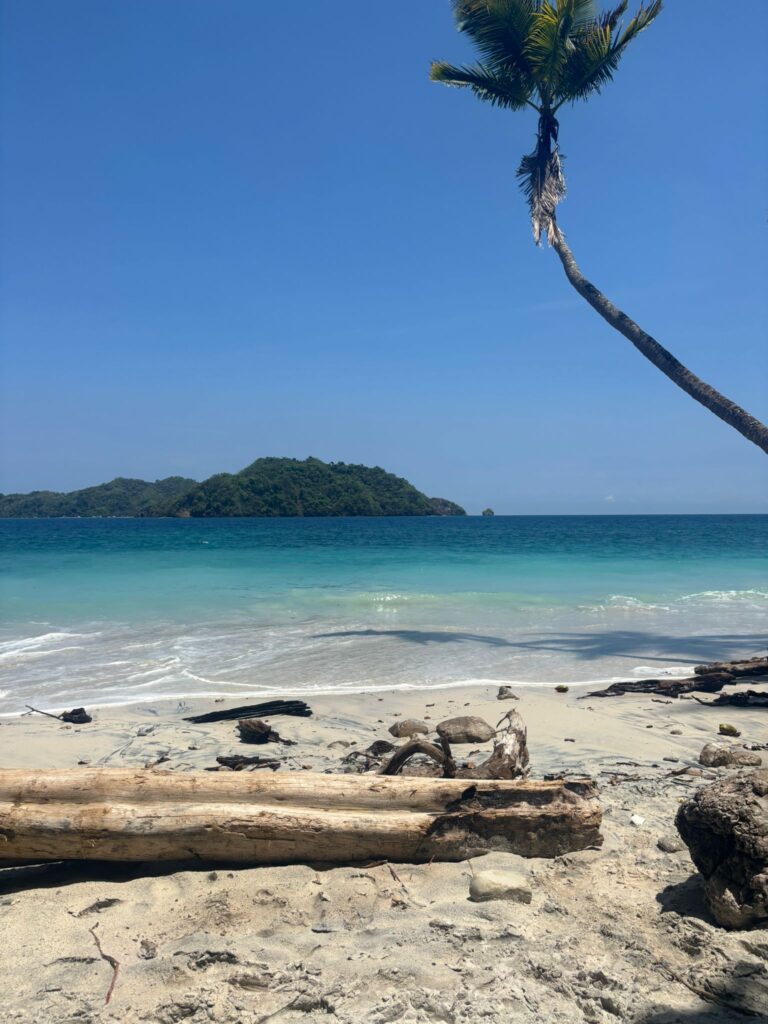 Jungle hiking trail to private beach, Cabo Blanco Nature Reserve Costa Rica