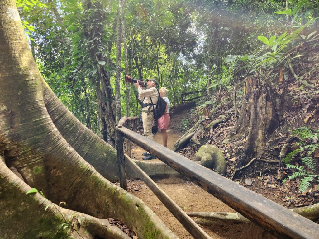 jungle hiking trail at Curú Wildlife Refuge Costa Rica