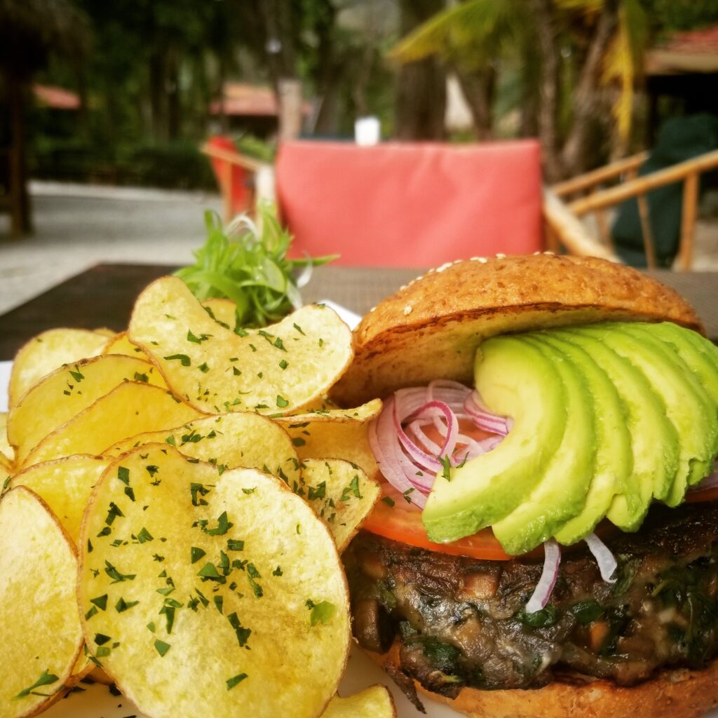 Gourmet beef burger with avocado fries and fresh ingredients Costa Rica