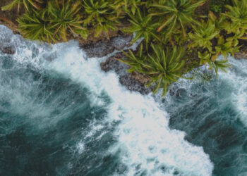 Powerful ocean waves crashing along tropical palm coastline in Santa Teresa Costa Rica