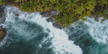 Powerful ocean waves crashing along tropical palm coastline in Santa Teresa Costa Rica