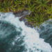 Powerful ocean waves crashing along tropical palm coastline in Santa Teresa Costa Rica