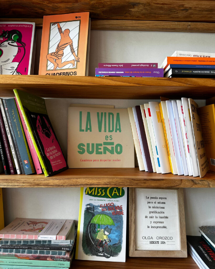 Spanish-language books inside Agora Gallery's community library in Santa Teresa, Costa Rica.