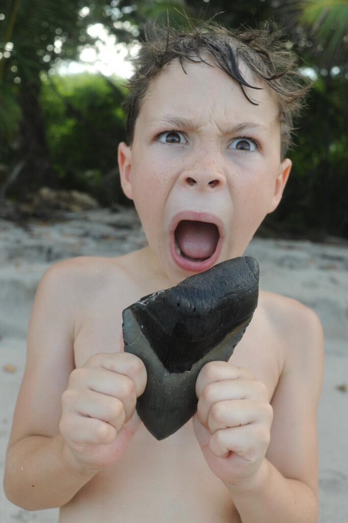 Young boy holding a fossilized Megalodon shark tooth moments after discovering it on Santa Teresa Beach, Costa Rica.