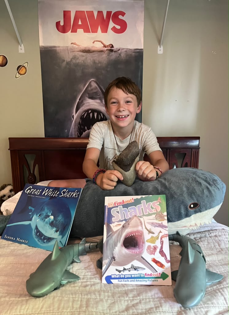 Young shark enthusiast displaying his Megalodon tooth alongside shark books, stuffed sharks and posters at home.