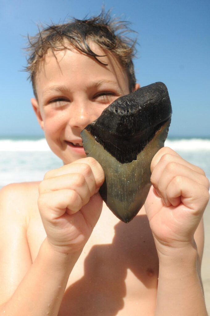 Smiling boy holding a fossilized Megalodon shark tooth during a family vacation in Santa Teresa, Costa Rica.
